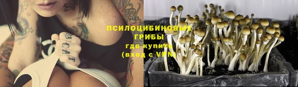 Альфа ПВП Карталы