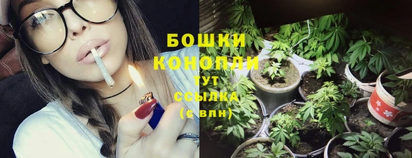 МДПВ Костерёво