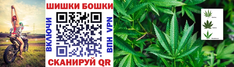 Бошки марихуана индика  darknet официальный сайт  Гаджиево 